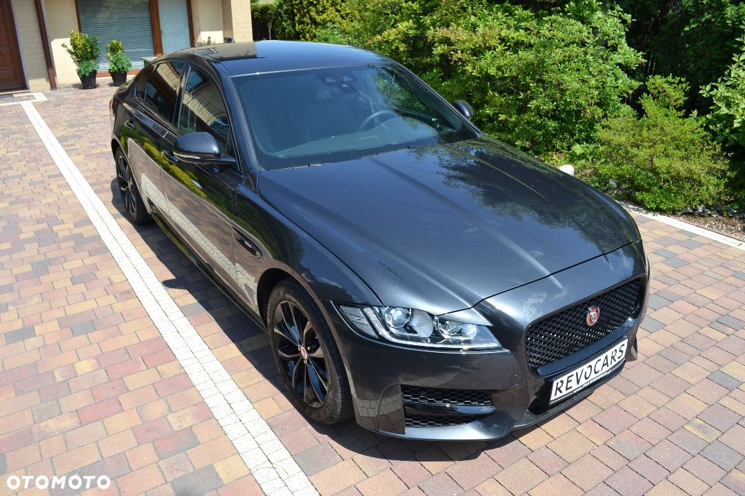 JAGUAR